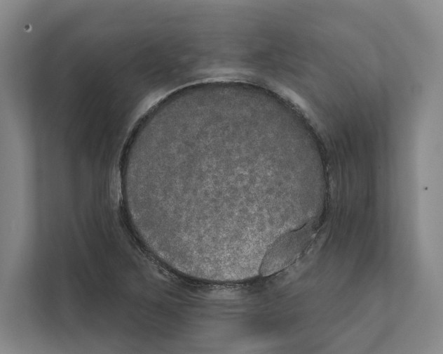 X0000111441267200908101007