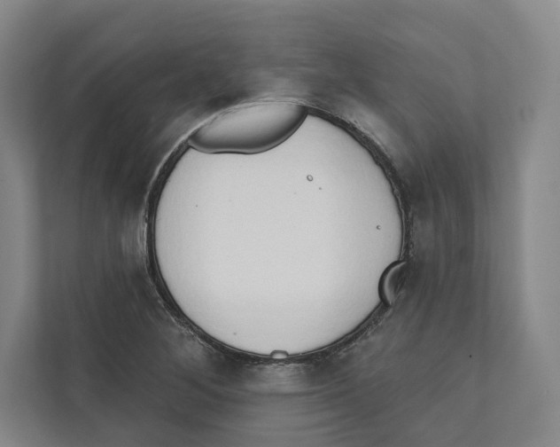 X0000111441268200908101007