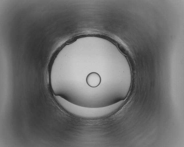 X0000111441269200908101007