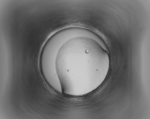 X0000111441272200908101007