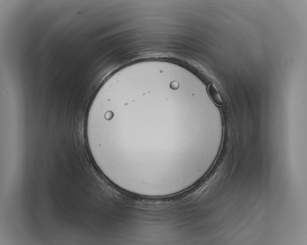 X0000111441273200908101007