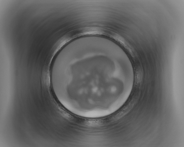 X0000111441274200908101007