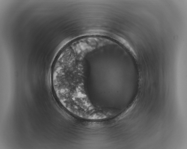 X0000111441275200908101007