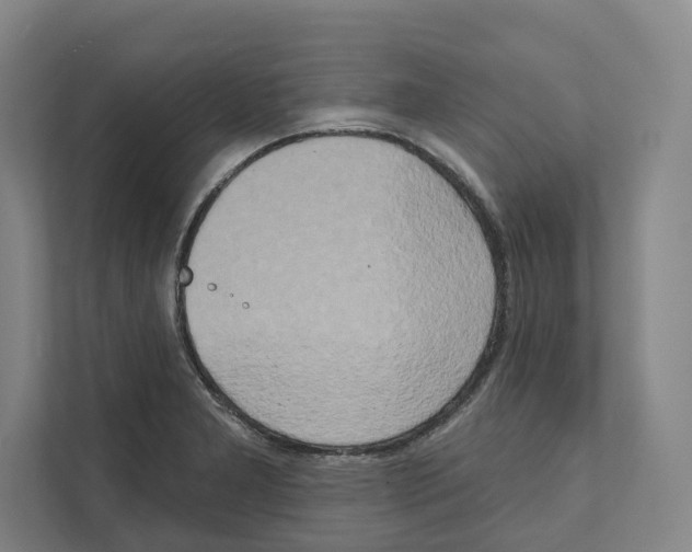 X0000111441277200908101007