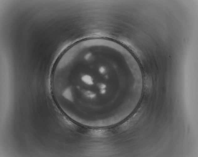 X0000111441278200908101007