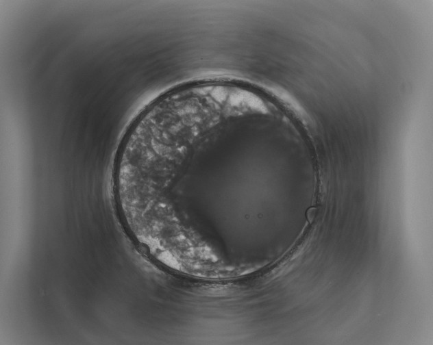 X0000111441279200908101007