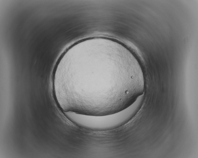 X0000111441280200908101007