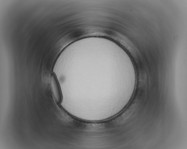 X0000111441281200908101007