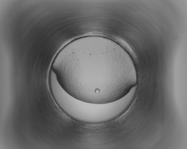 X0000111441284200908101007