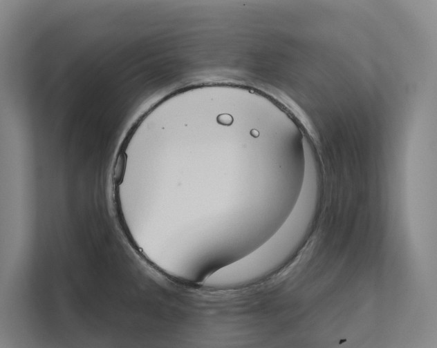 X0000111441285200908101007