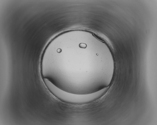 X0000111441288200908101007