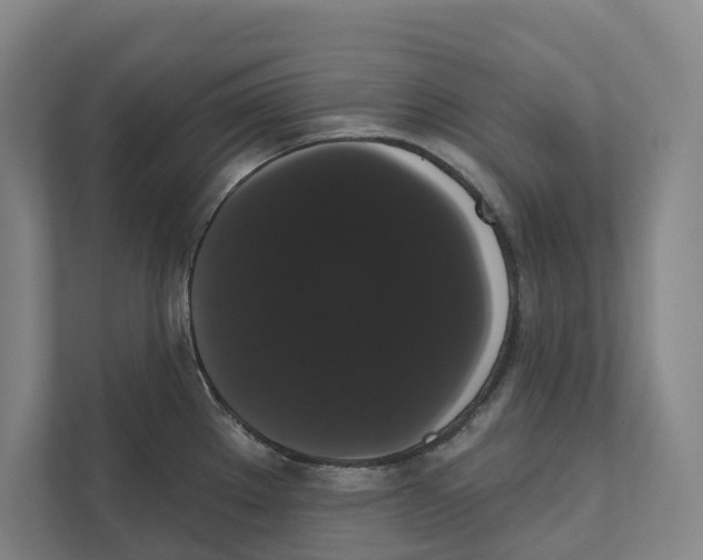 X0000111441289200908101007