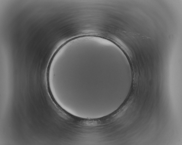 X0000111441291200908101007