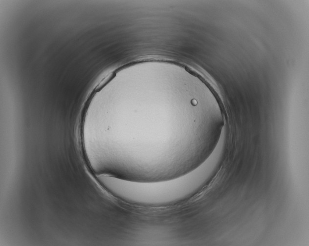 X0000111441293200908101007