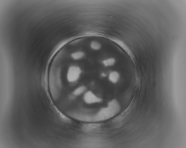 X0000111441294200908101007