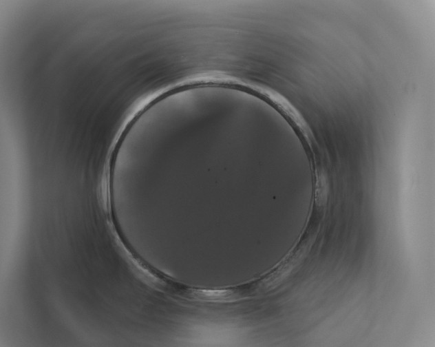 X0000111441295200908101007