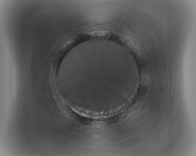 X0000111441297200908101006