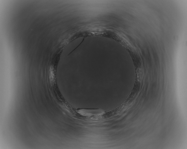 X0000111441298200908101006