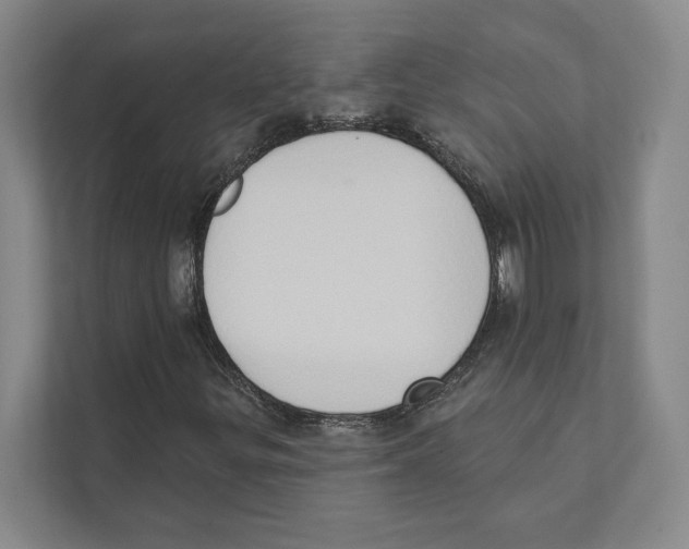 X0000111441299200908101006