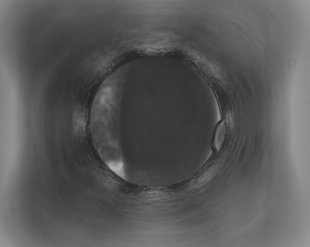 X0000111441300200908101006