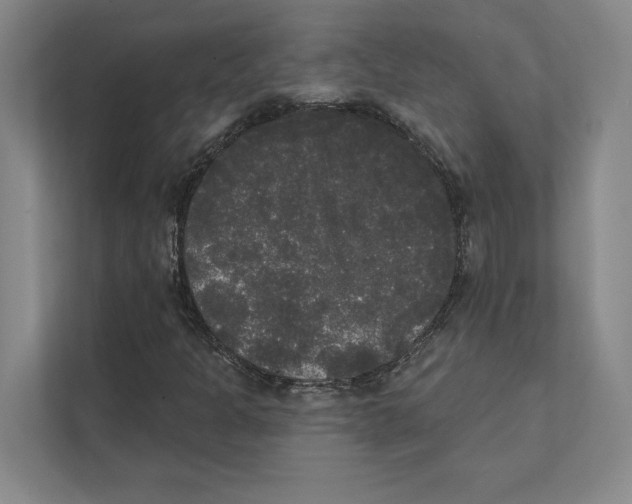 X0000111441301200908101006