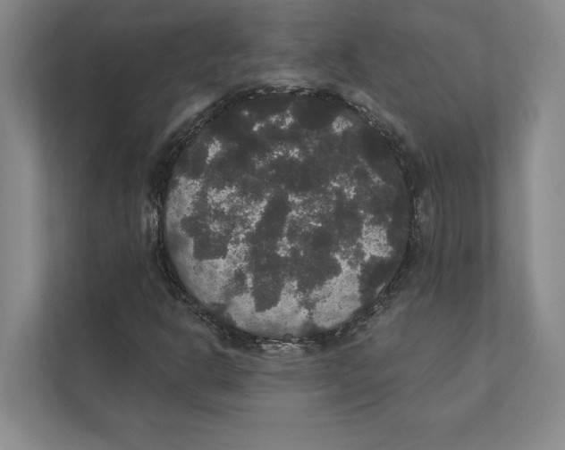 X0000111441302200908101006