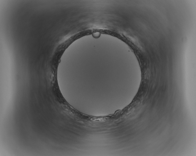 X0000111441303200908101006