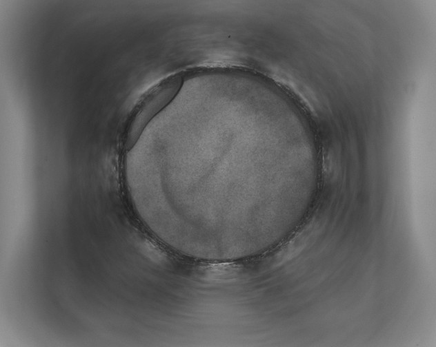 X0000111441304200908101006