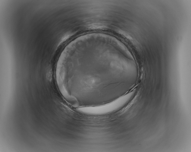 X0000111441306200908101006