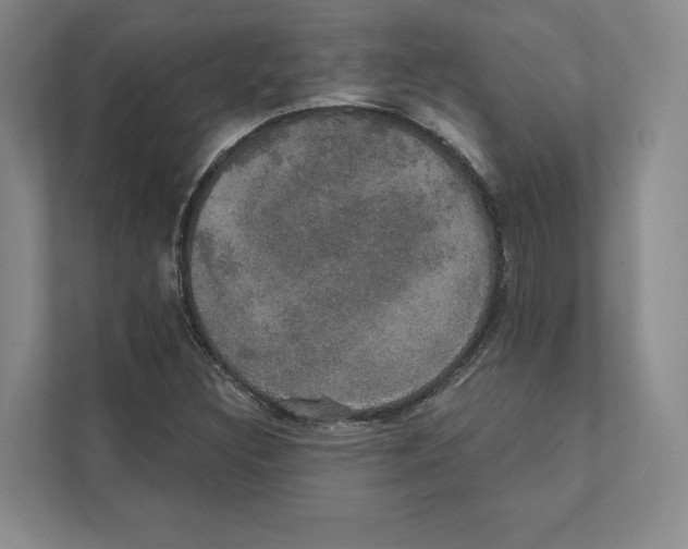 X0000111441308200908101006