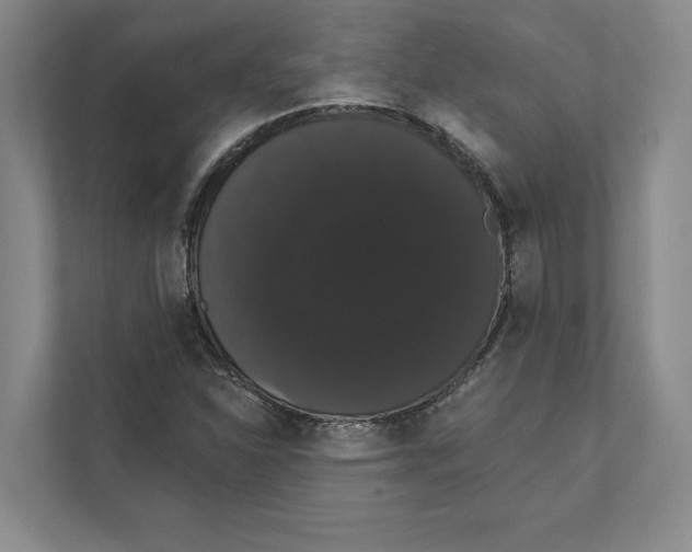 X0000111441310200908101006