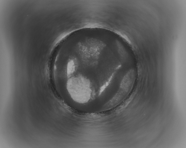 X0000111441311200908101006