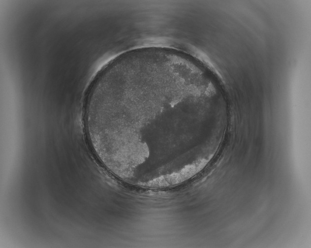 X0000111441312200908101006