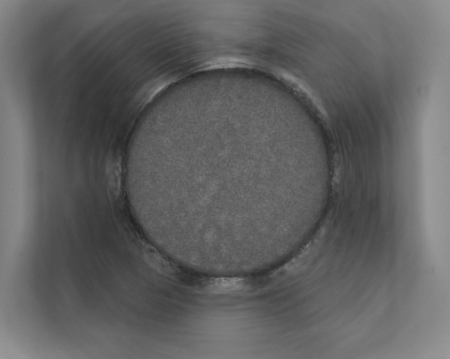 X0000111441313200908101007