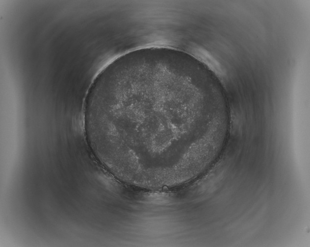 X0000111441316200908101007