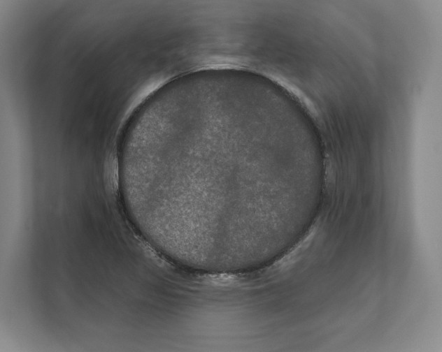 X0000111441317200908101007