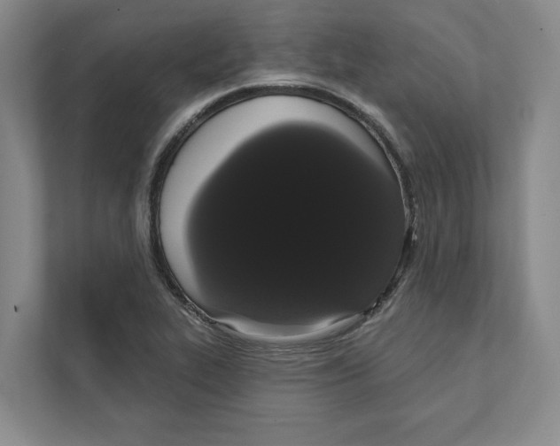 X0000111441319200908101007