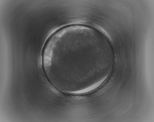 X0000111441324200908101007