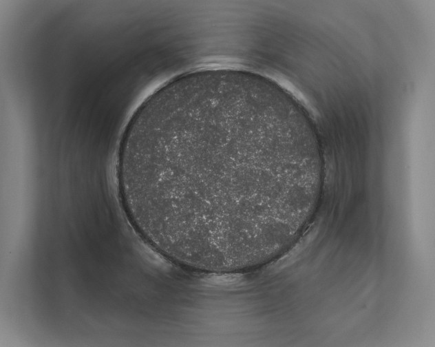 X0000111441325200908101007