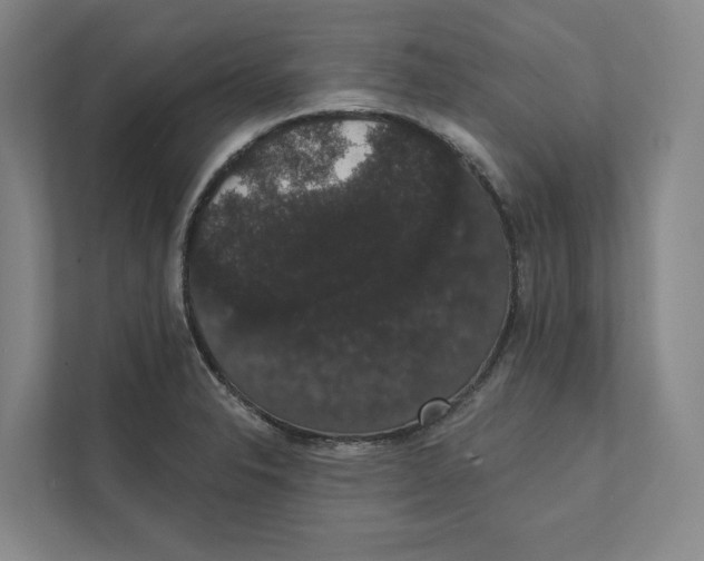 X0000111441326200908101007