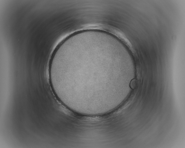 X0000111441328200908101007