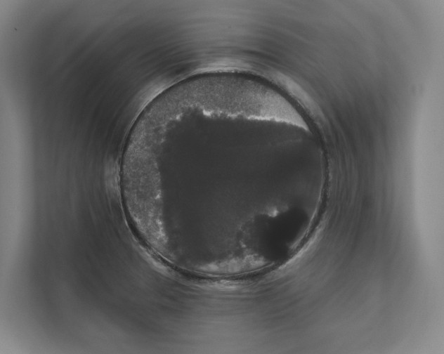 X0000111441329200908101007