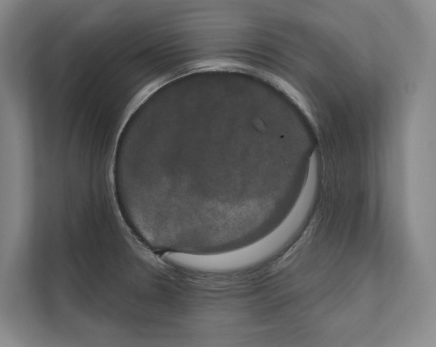 X0000111441330200908101007