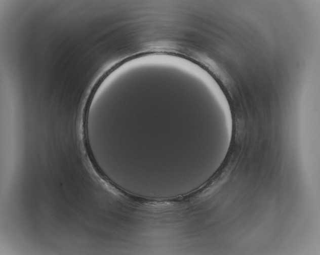 X0000111441331200908101007