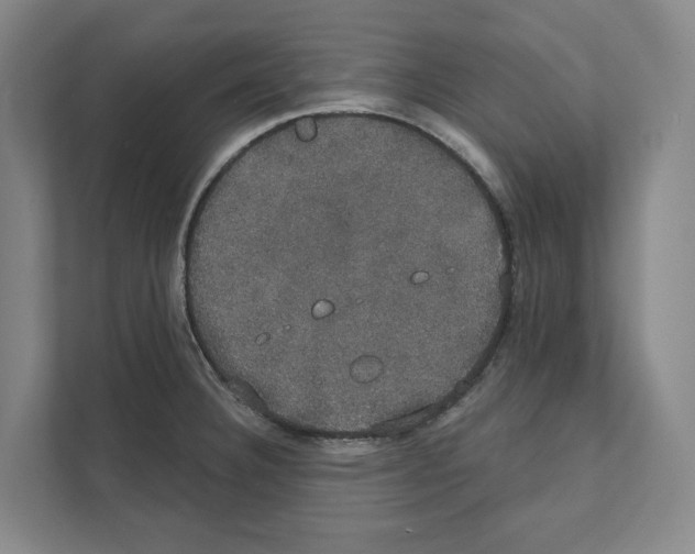 X0000111441332200908101007