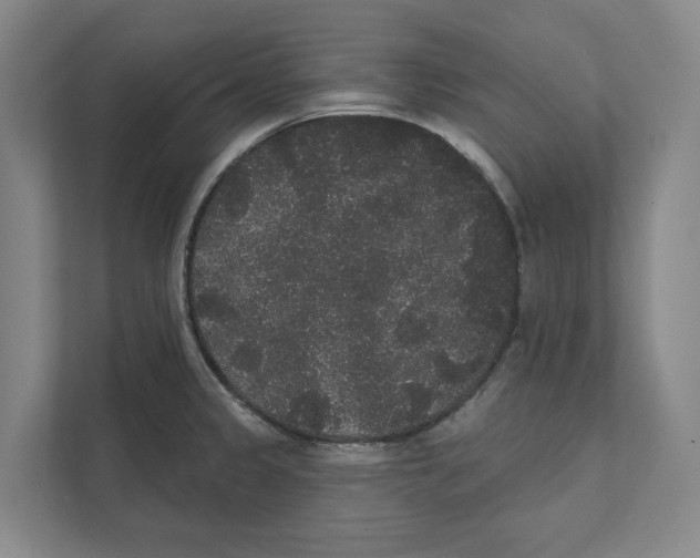 X0000111441333200908101007