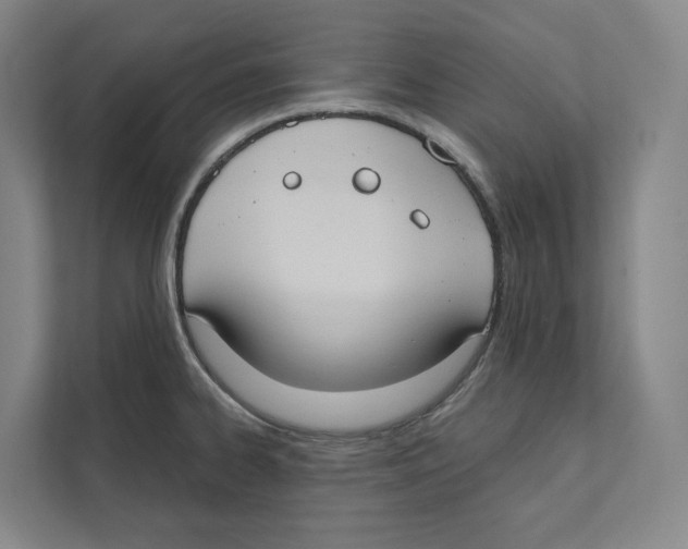 X0000111441334200908101007