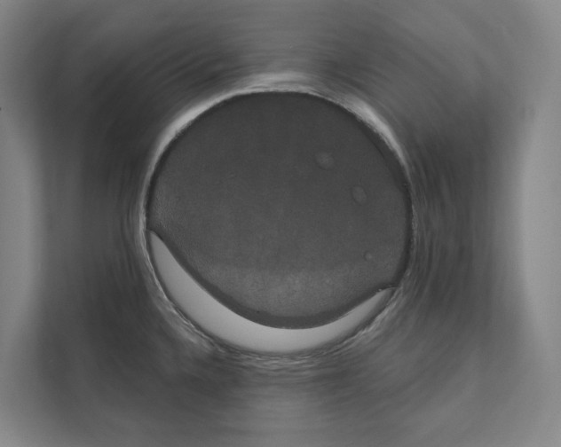 X0000111441336200908101007