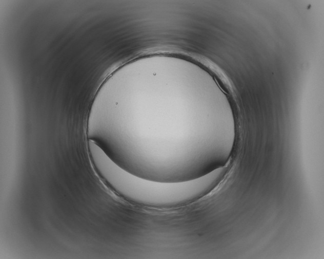 X0000111441337200908101007