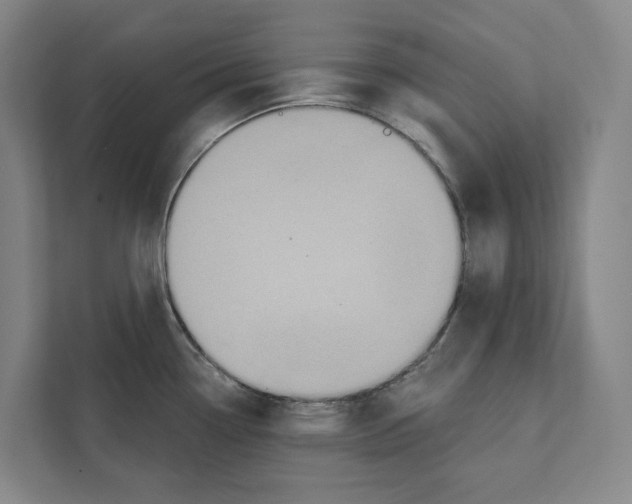 X0000111441338200908101007